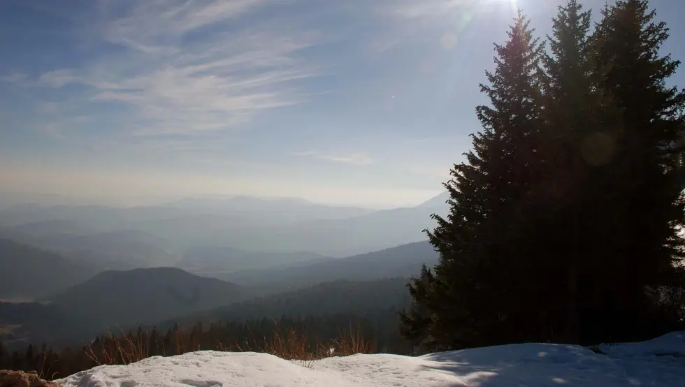 шума Романија Пале јесен зима