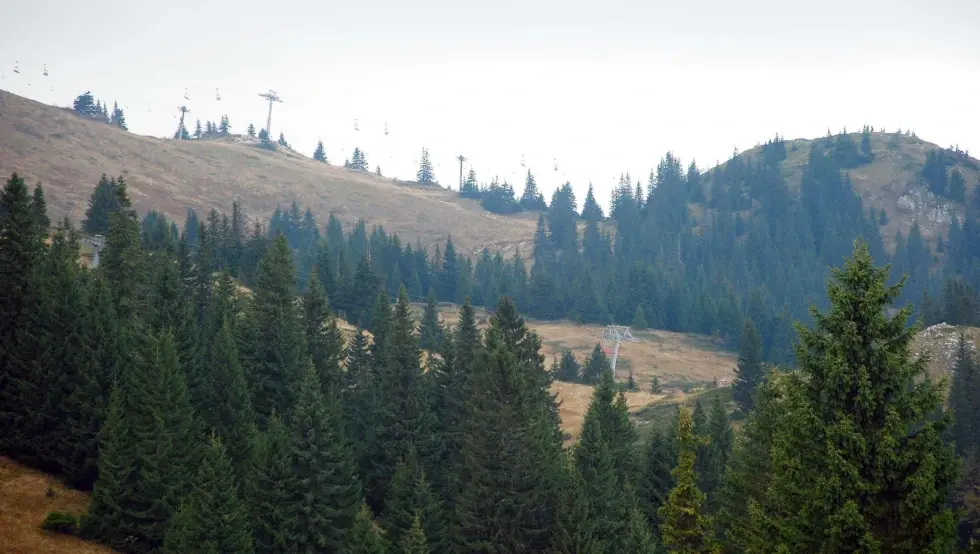 шума Романија Пале јесен зима
