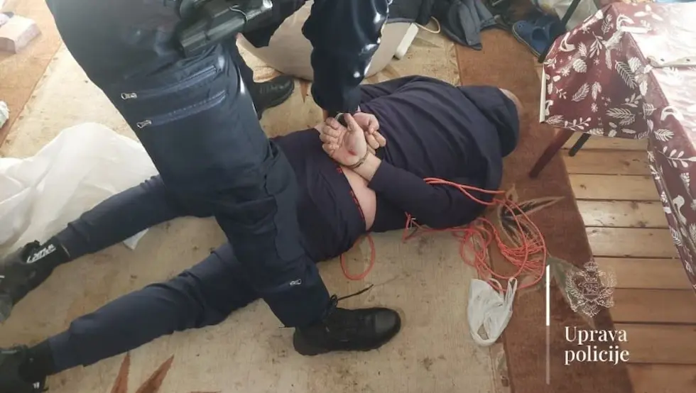 Хапшење Вулевића