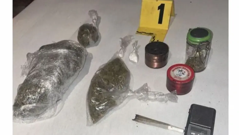 Акција "Фог": Пронађена дрога, ухапшене двије особе