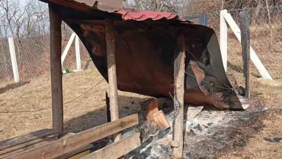 Запаљен пчелињак