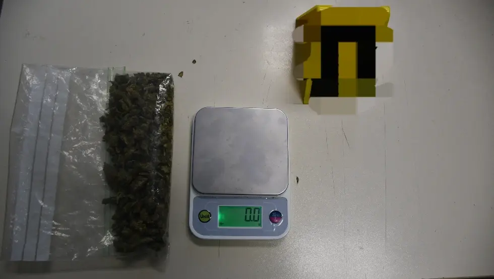 Бијељина дрога