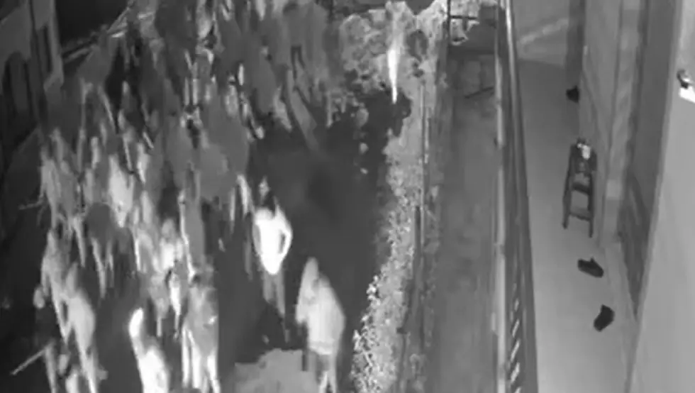 Нови снимак хаоса из Тузле: Камере снимиле Торциду како с палицама креће на Делије