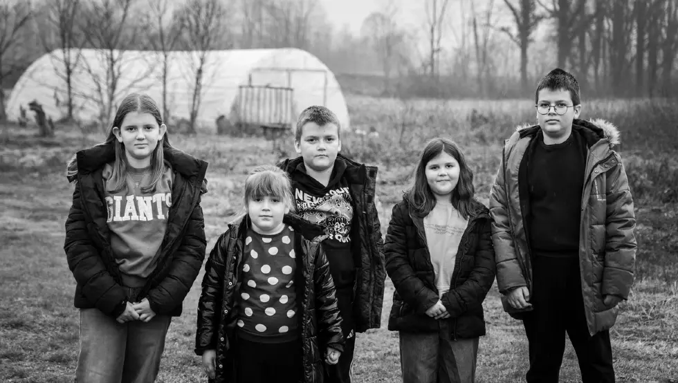 породица цвијановић