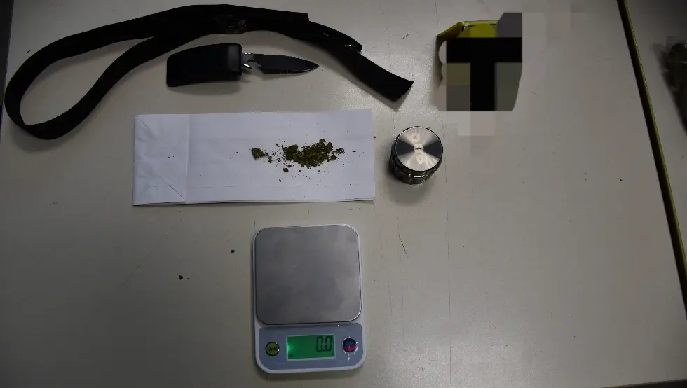 Бијељина дрога