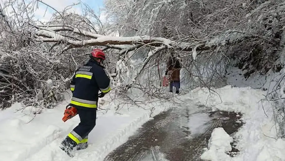 Сребреница снијег