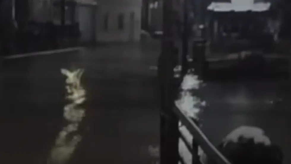 Излила се Неретва