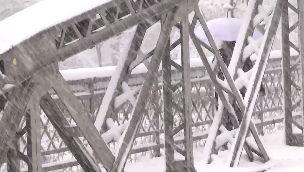 Преминула жена из Сарајева на коју је јутрос пало стабло бора