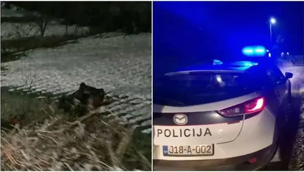 Драма код Какња: Пијан возио и слетио с цесте, па покушао побјећи, ухапшен је