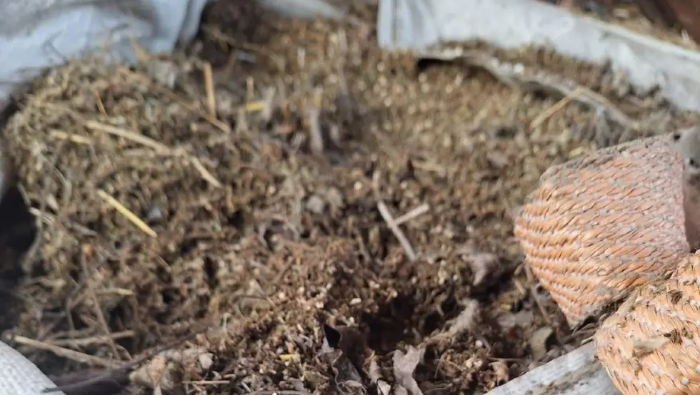 Између закона и трулежи: Шта је у врећама нађеним у старој задрузи?