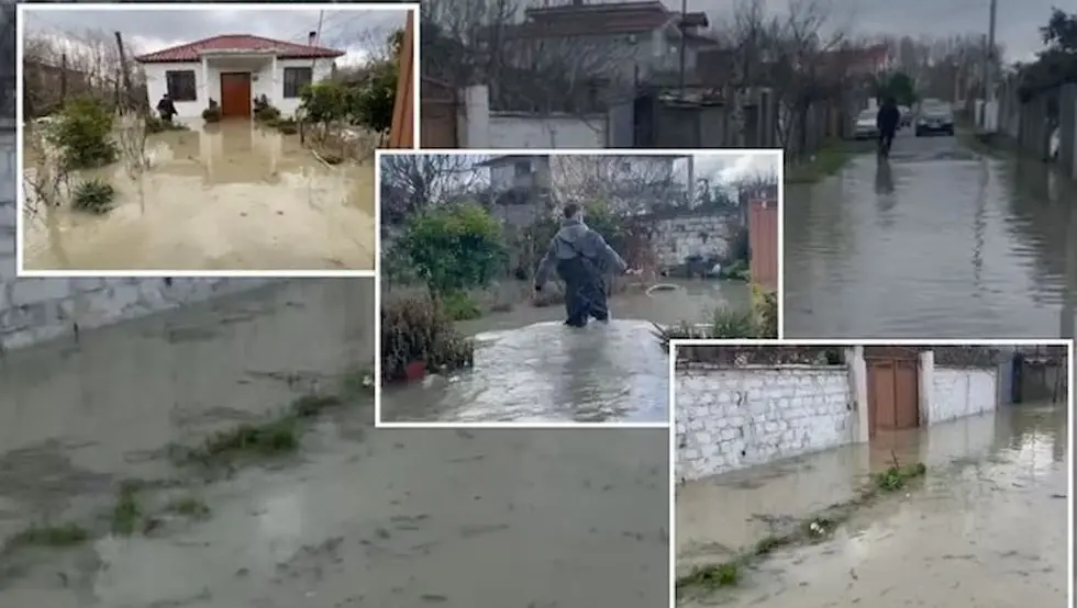 Драч поплаве