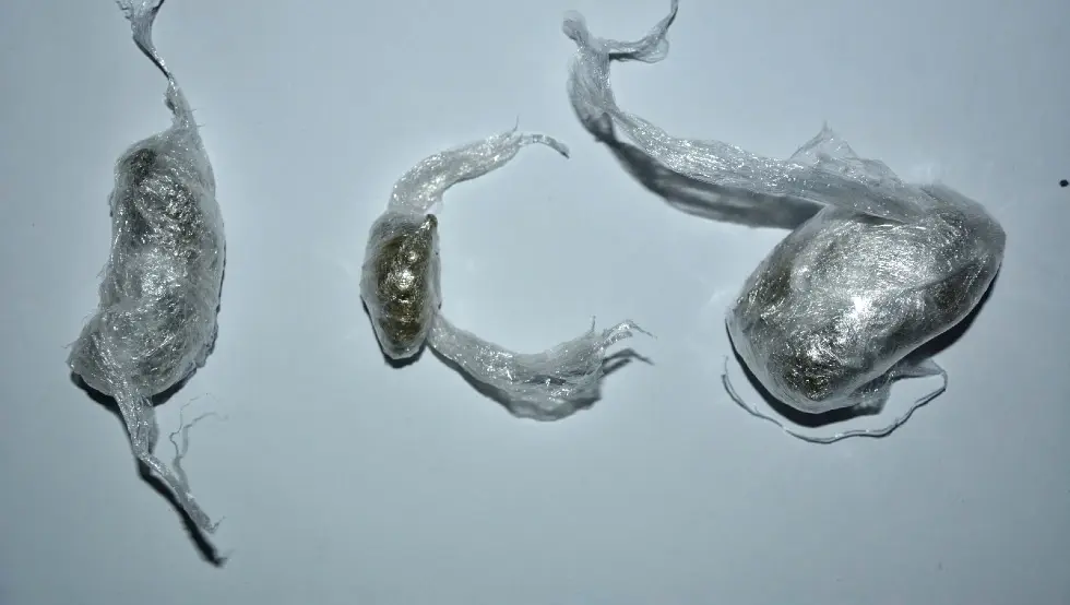 Братуна Дрога