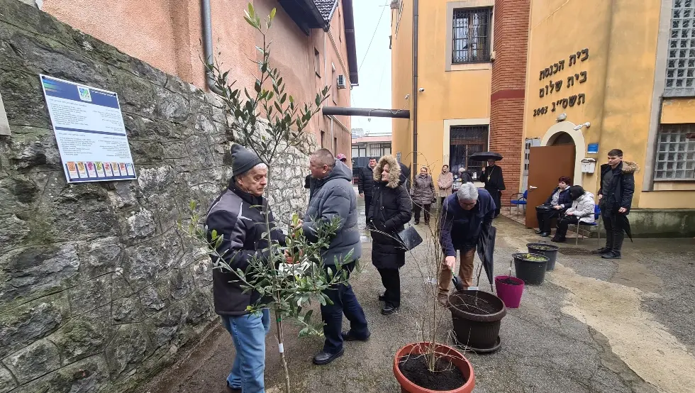 Добој саднице јевреји