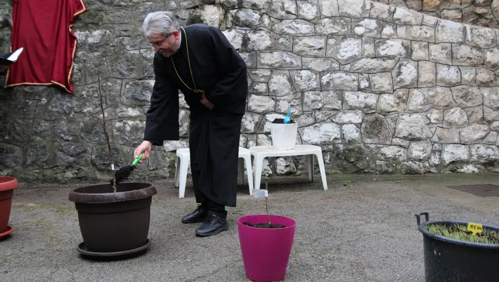 Добој саднице јевреји