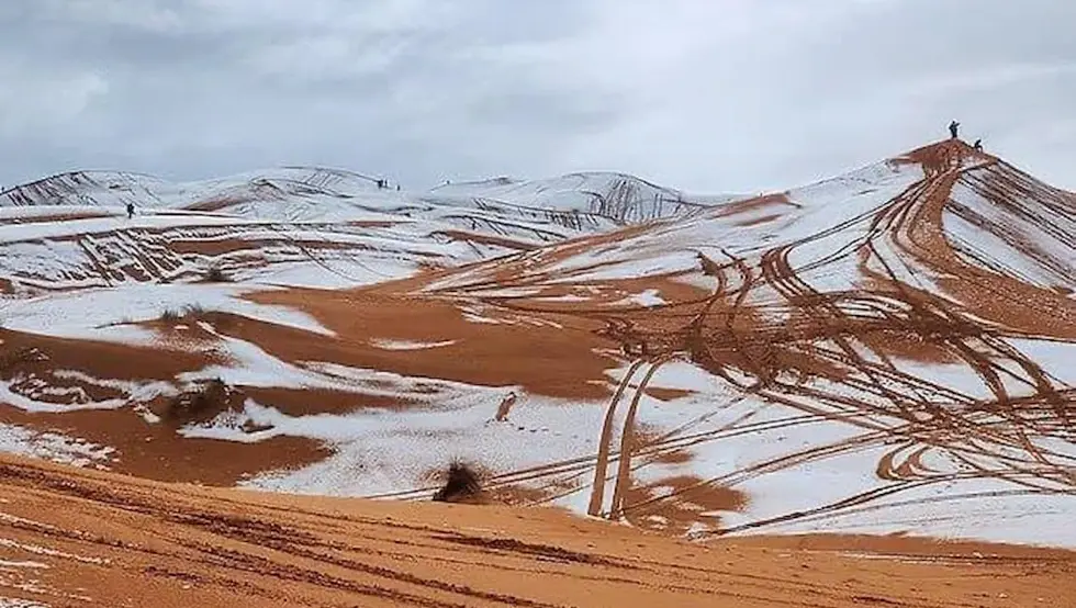 снијег Сахара