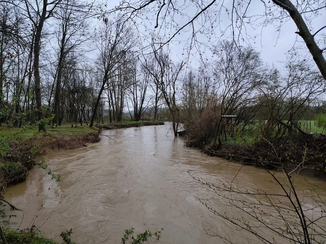 Бујичне воде