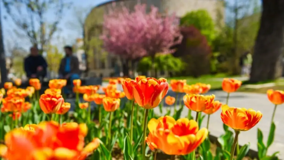 И сутра топло, температура и до 19 степени