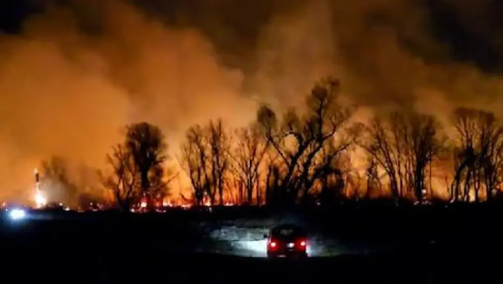 Гори трска код Беочина, дим се надвио и над Новим Садом
