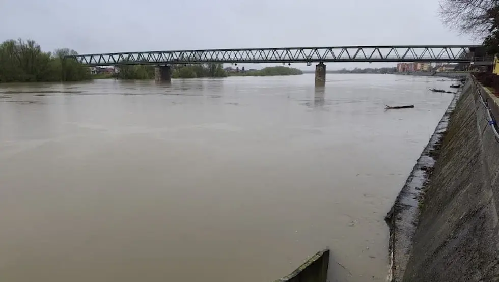 Сава Градишка