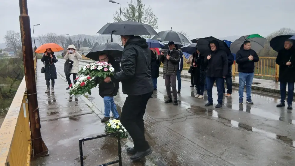 Модрича Вијенци