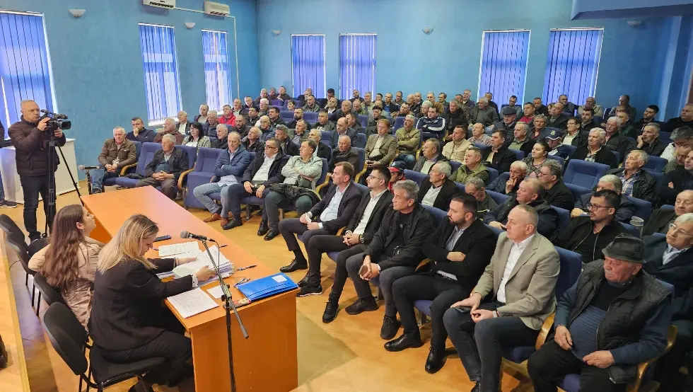 Угљевик подстицаји