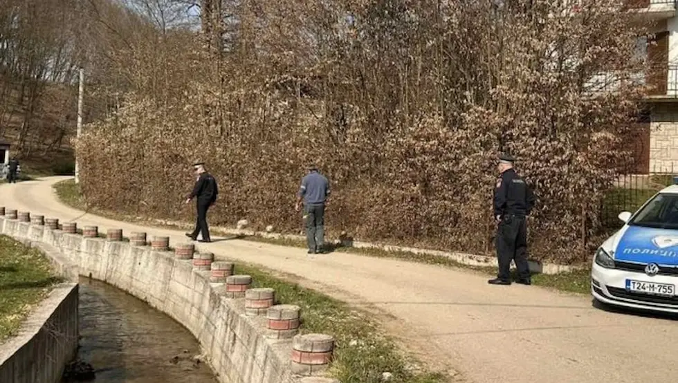 Шушњари увиђај