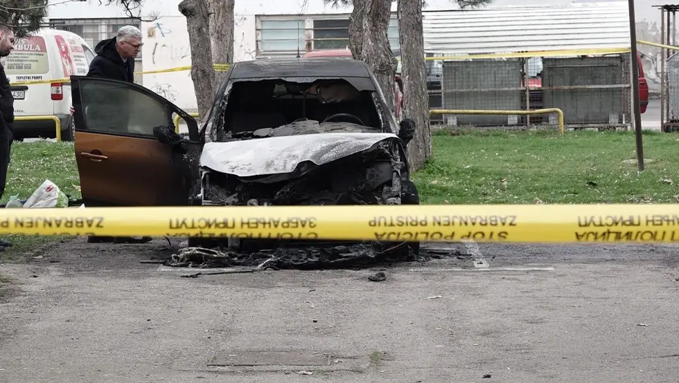 Брчко паљевина