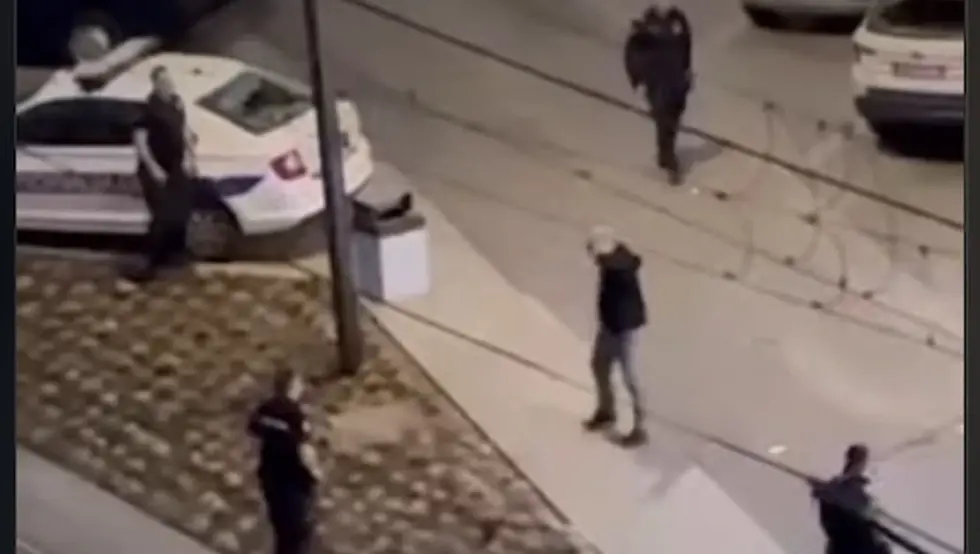 Далибор Београд