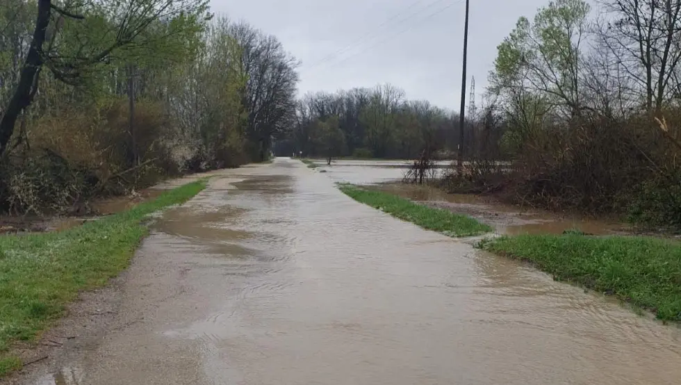 Брчко поплава