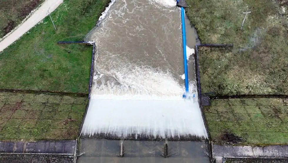 Брана дренова