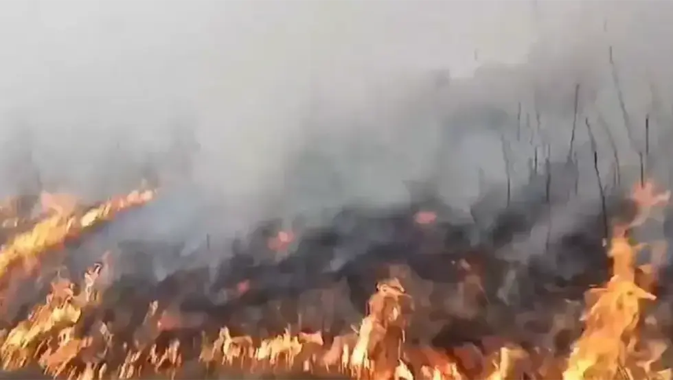 Пожар у Трнову