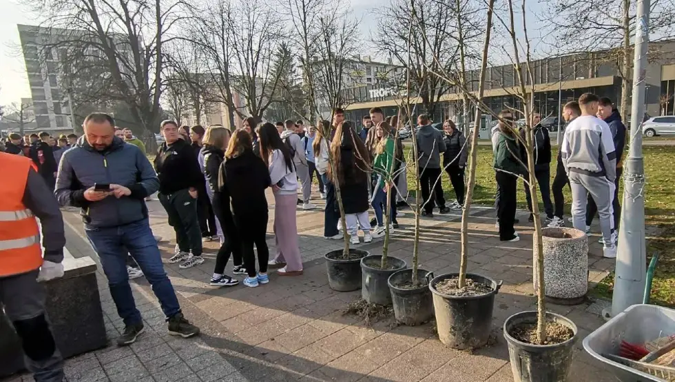 Добој чишћење