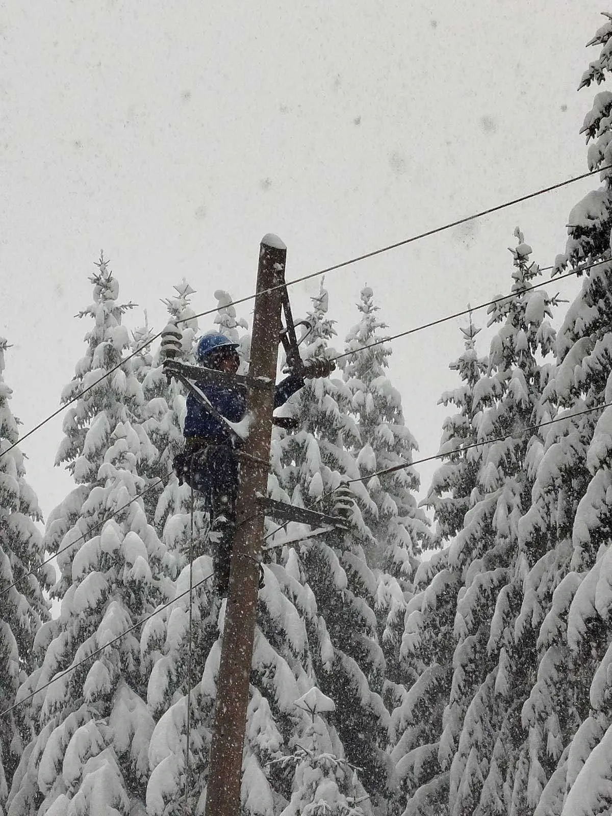 Електро Бијељина