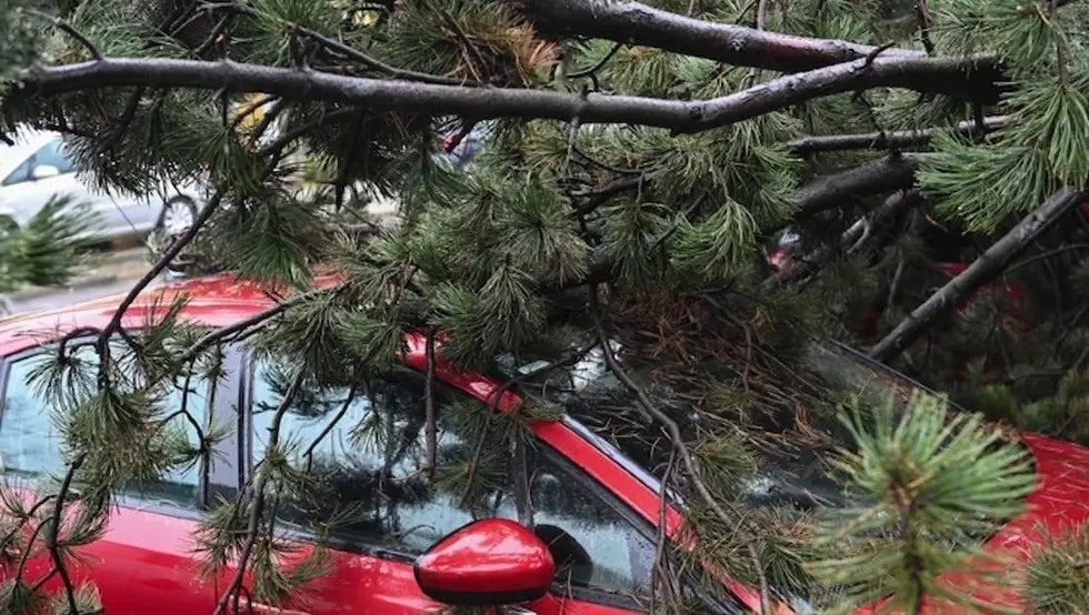 Вјетар Хрватска