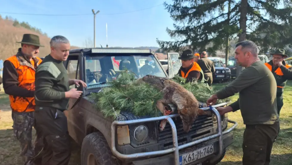 Вук Петрово