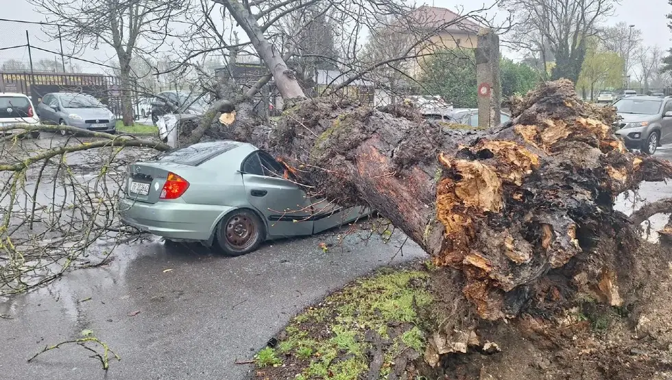 Хаос у Загребу: Вјетар чувао дрвећа, уништена аута