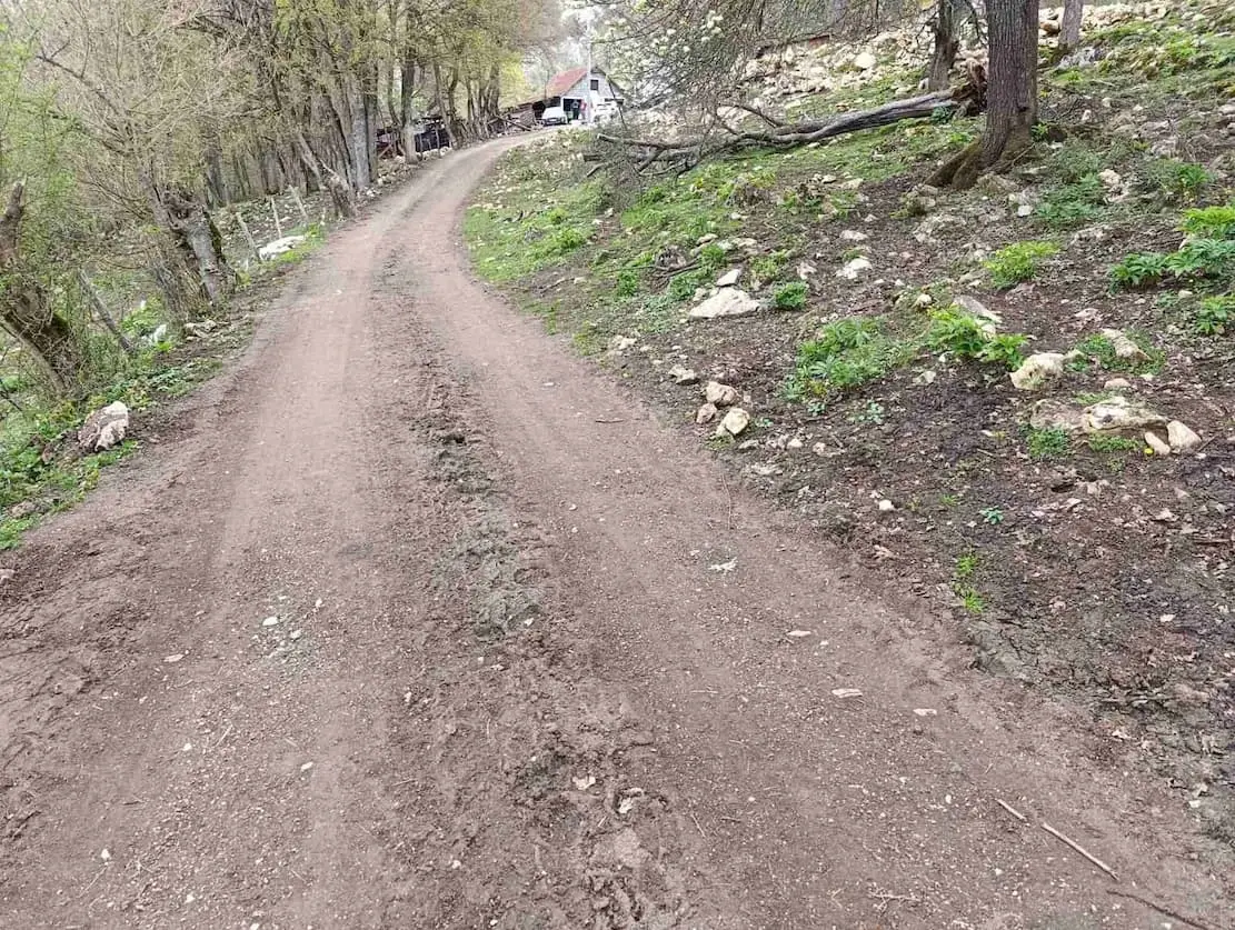 Тешановићи породица