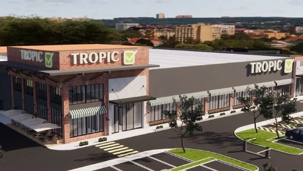 тропик чајавец