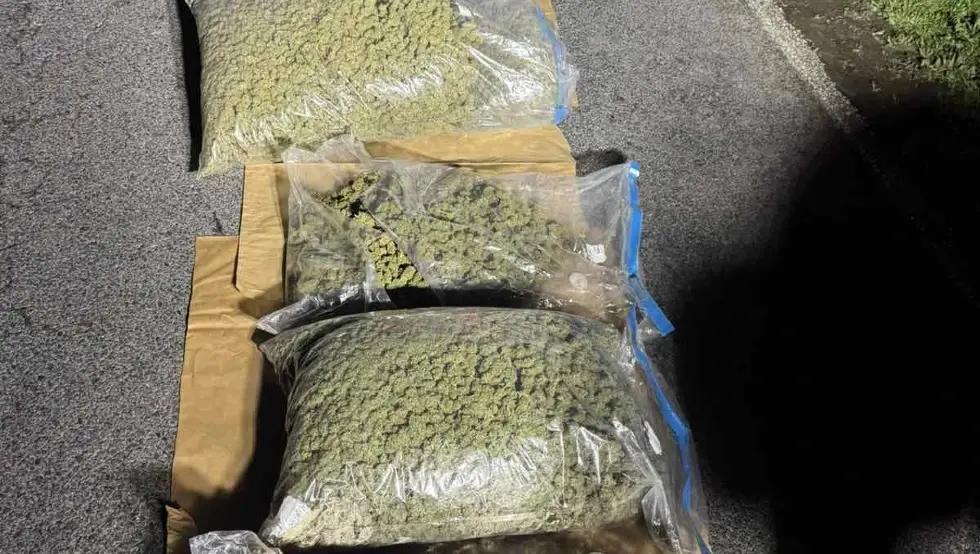 (ФОТО) Погледајте шта је заплијењено у акцији "Бразил"