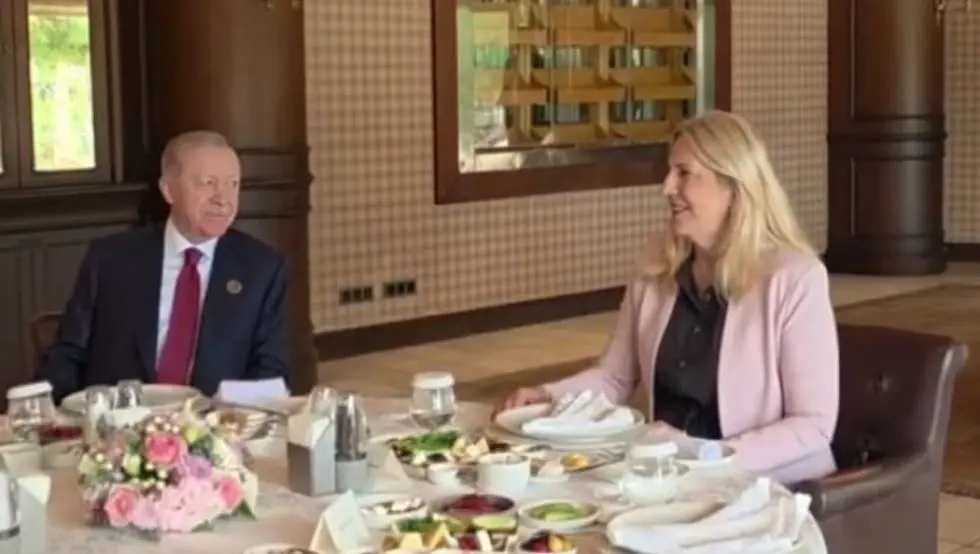 цвијановић ердоган