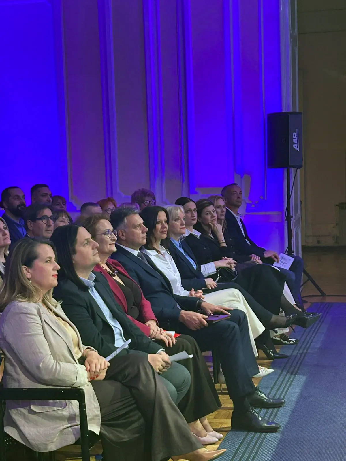 Дани Владе С. Милошевића