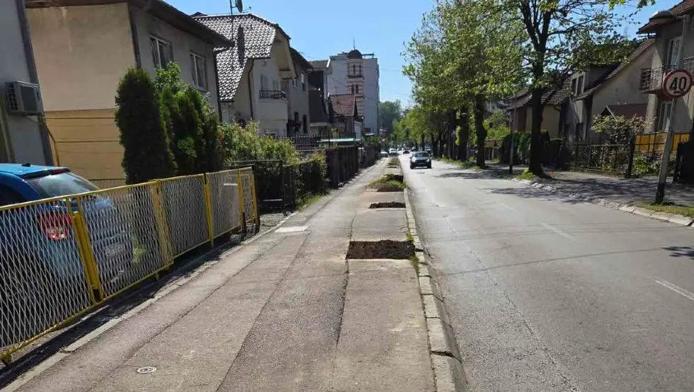 уклоњена стабла нова варош