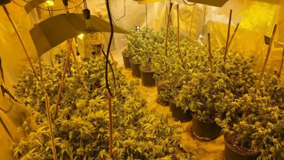 У акцији "Ариес" ухапшена Сарајка, пронађено пет лабораторија