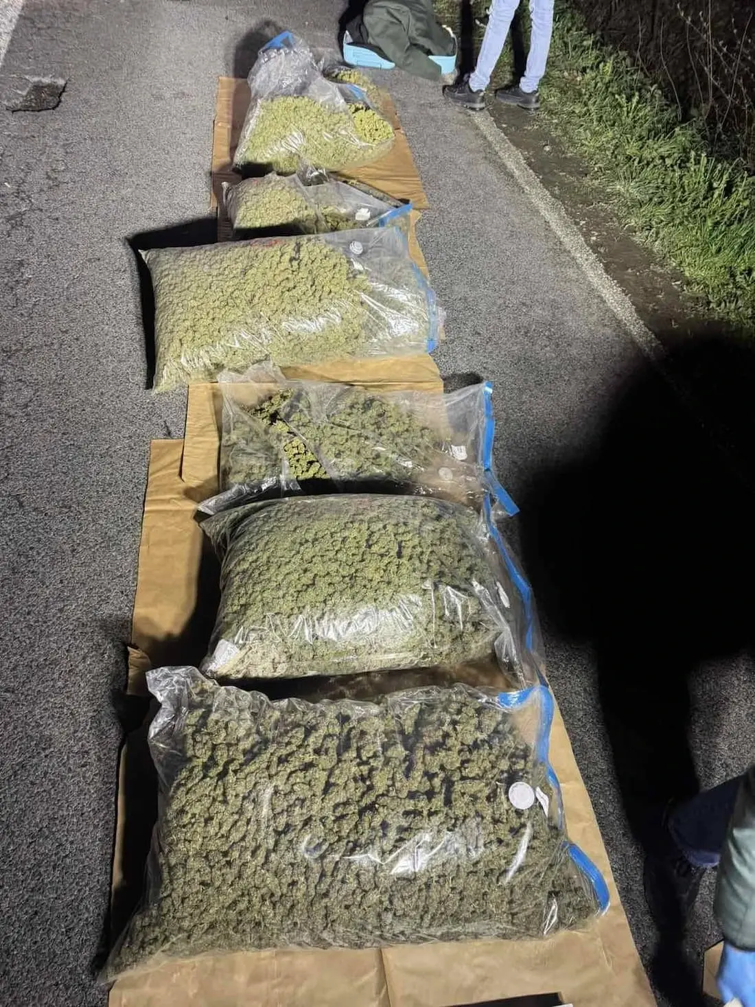 акција бразил