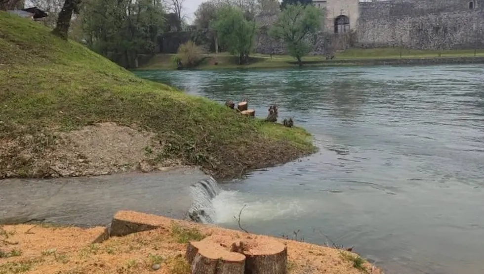 Сјеча стабала Бањалука