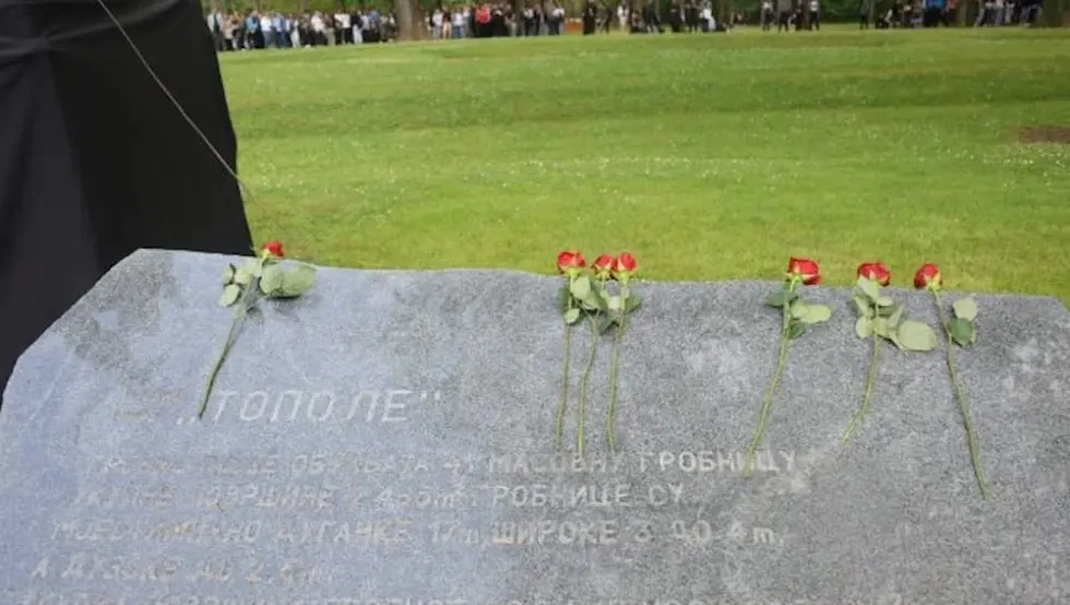 Доња Градина