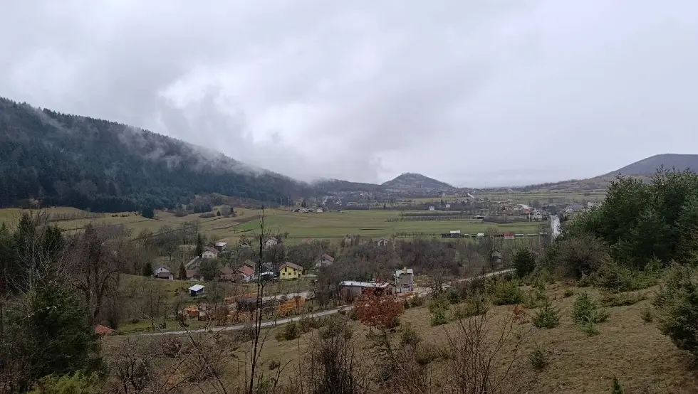 Петровац Дринић