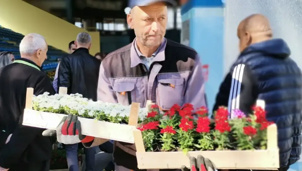 За љепши и уређенији Добој: Почела подјела више од 12.000 садница