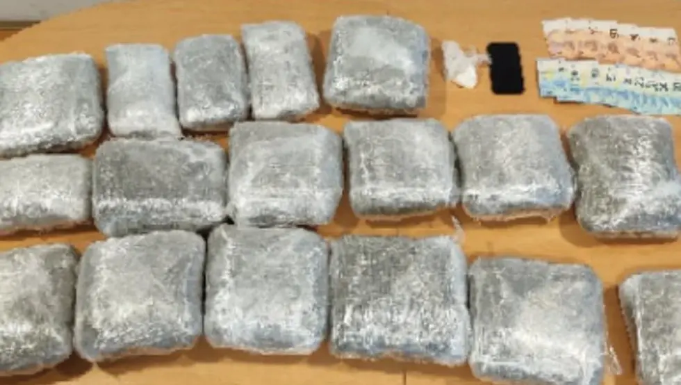 На граници Црне Горе и БиХ заплијењено 25 килограма марихуане