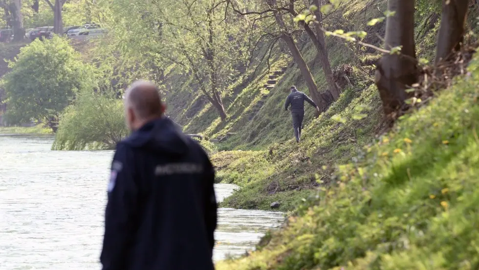 Надзор врба